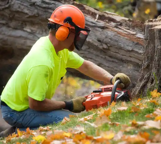 tree services East Tawas